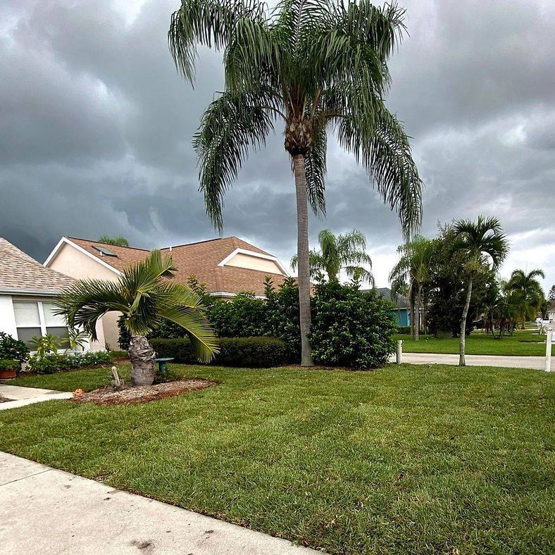 Lush green lawn with palm trees in front of a suburban house under a cloudy, gray sky.
