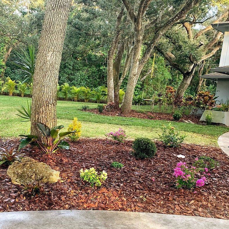 A lush garden with trees, brown mulch, and colorful plants in front of a house.