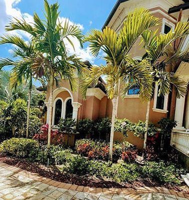 House With Trees and Plants House With Trees and Plants