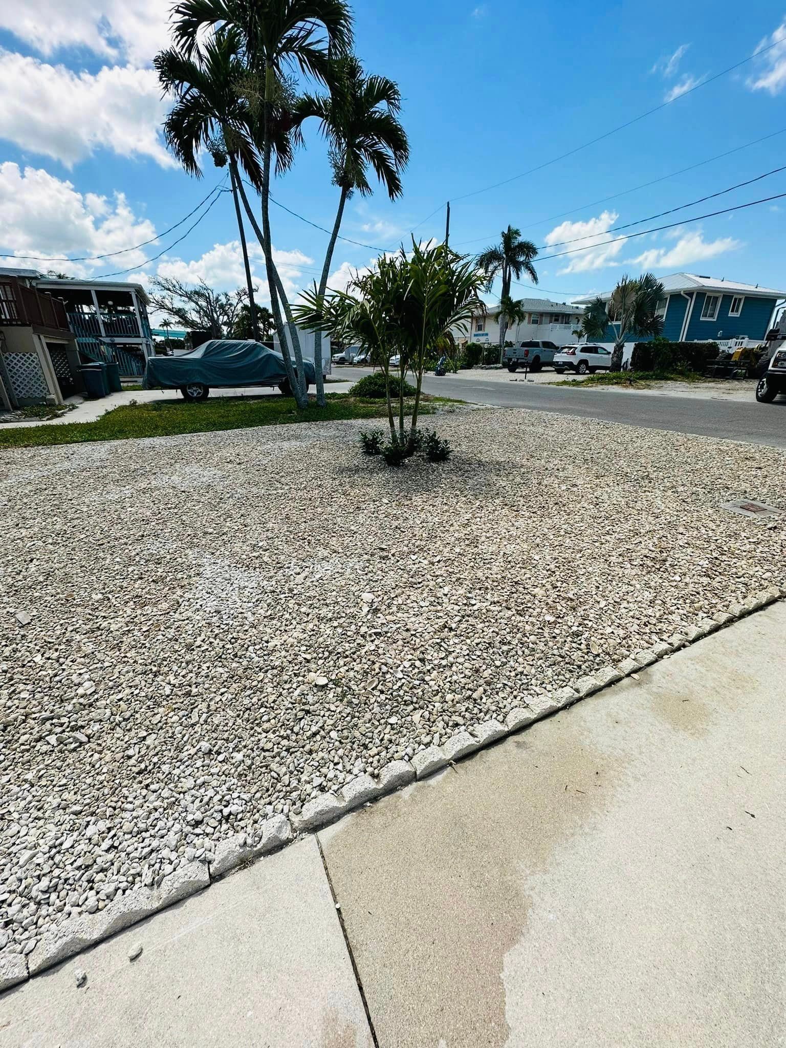A gravel-covered landscaping bed with a small tree and surrounding sidewalk.