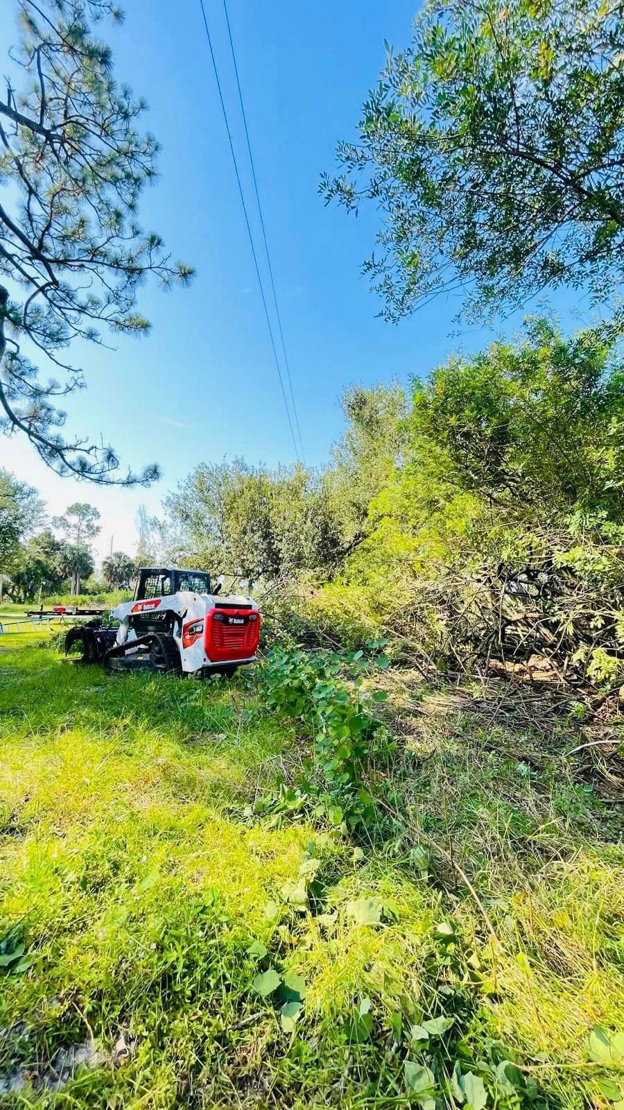 A red and white brush cutter trims overgrown vegetation in a sunny, grassy field near trees under a blue sky.