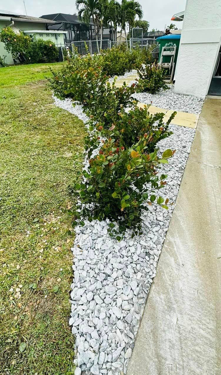 Green bushes in a rock bed bordered by grass and a concrete structure. The rocks are gray.