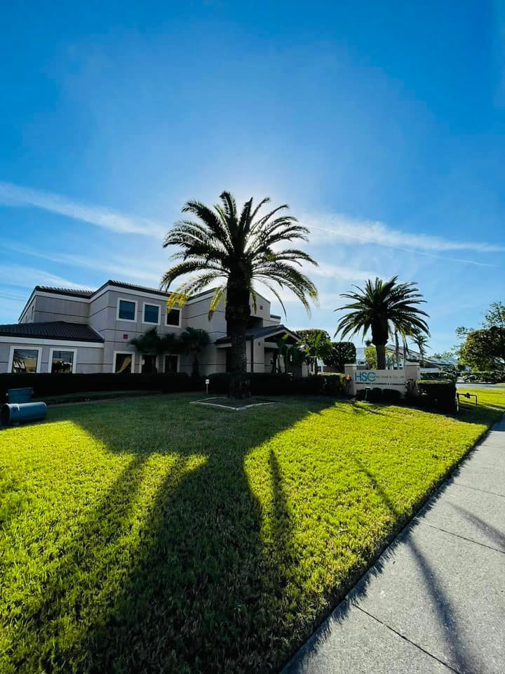 A house with palm trees casting long shadows on the green lawn under a bright blue sky.