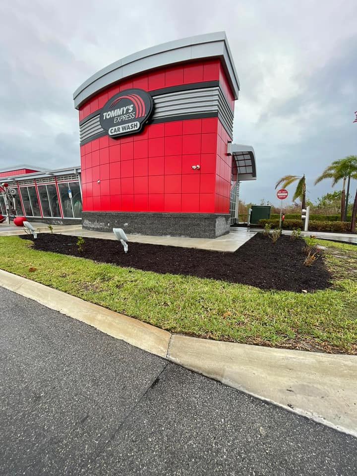 Dark mulch and green grass in the foreground.