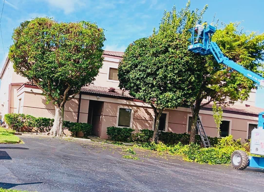 A light pink building with two trees being trimmed by a worker in a blue lift. The setting is outdoors.