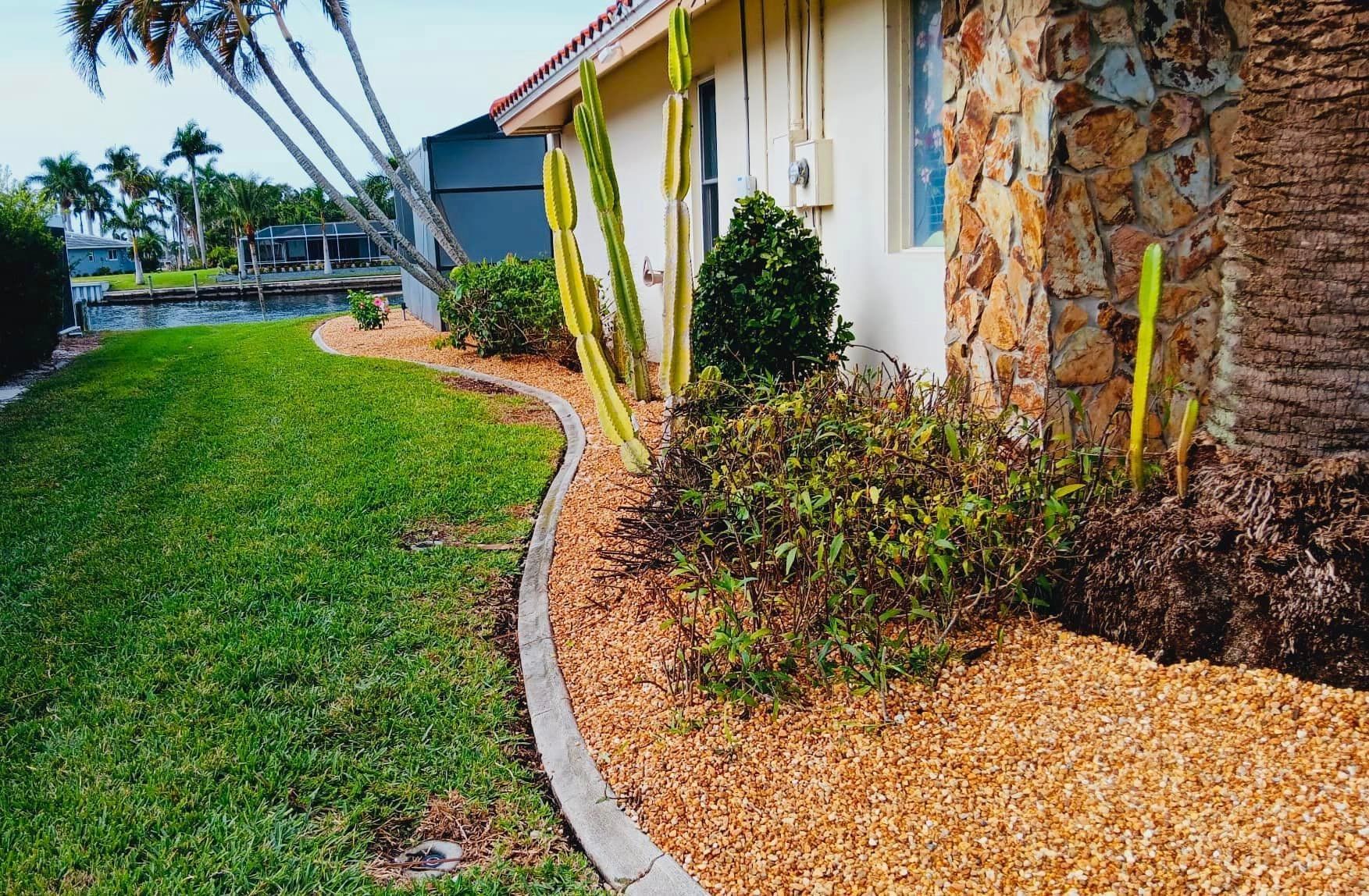 Lush green lawn next to a gravel-covered garden bed with cacti and shrubbery. Building on the right with stone wall.
