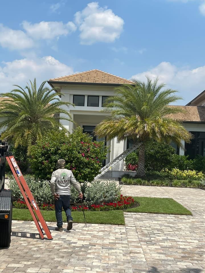 Man walking toward a large house with palm trees.