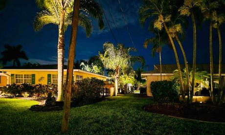 Nighttime view of illuminated palm trees and a grassy yard in front of yellow houses. The sky is dark blue.