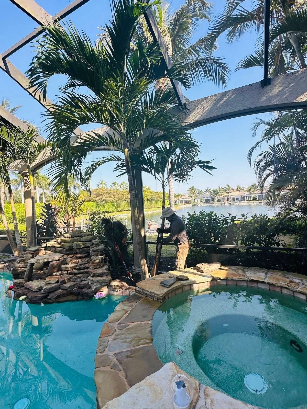 A person tending a palm tree by a pool and jacuzzi overlooking a body of water. Sunny day.