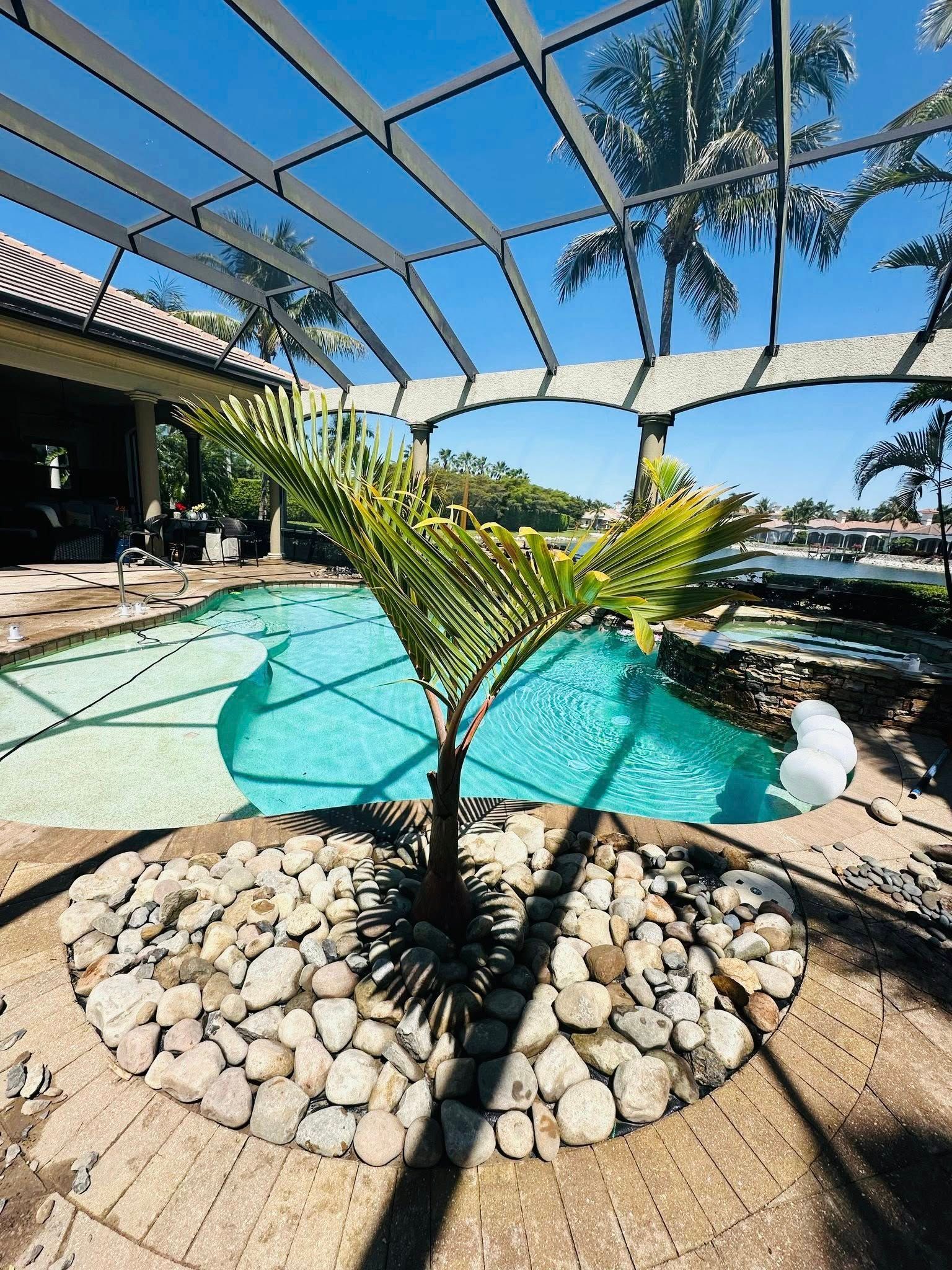 A small palm tree in a rock-lined bed sits next to a turquoise pool under a screened patio.