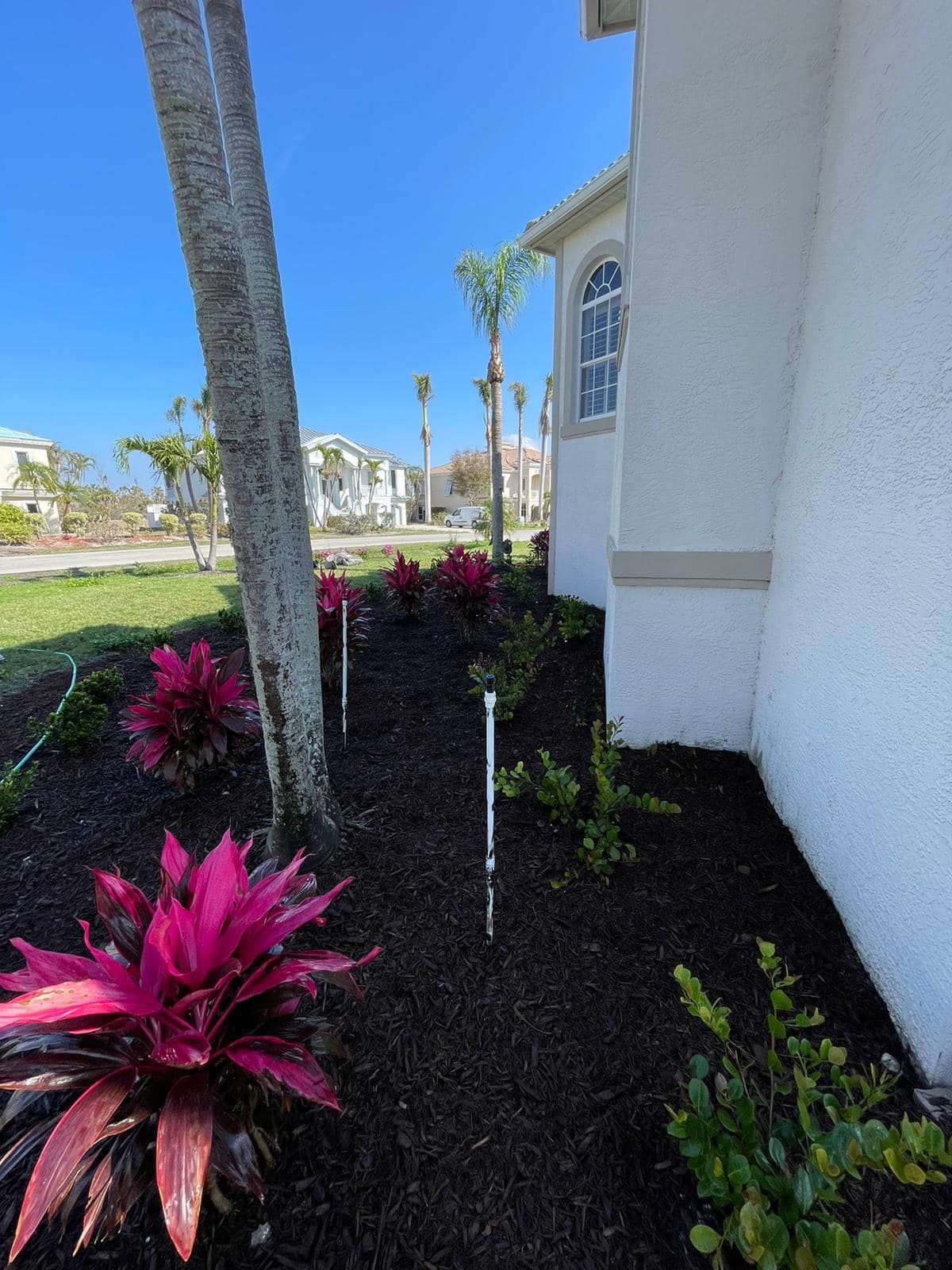 Landscaped garden bed with pink and green plants next to a white building under a clear blue sky.
