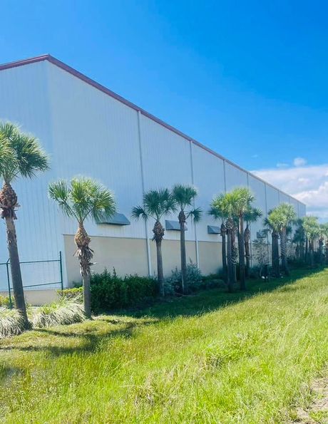 A long white industrial building with a red roof and palm trees lining its side under a bright blue sky.