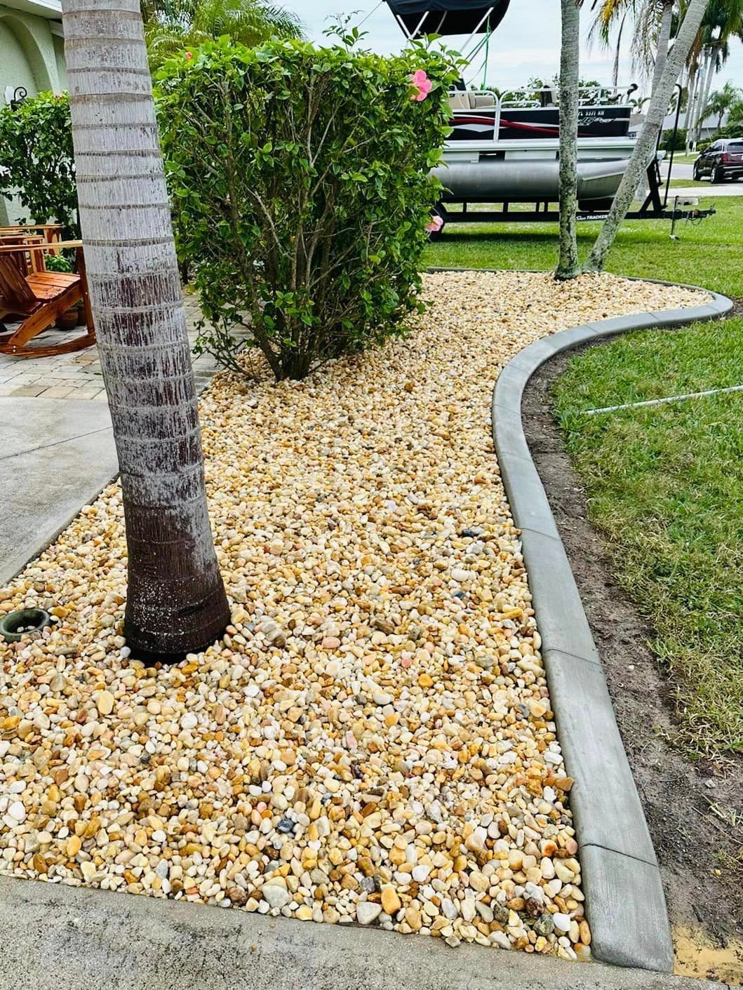 A landscape bed with tan gravel, a green shrub, and a concrete border. A palm tree trunk stands in the bed.