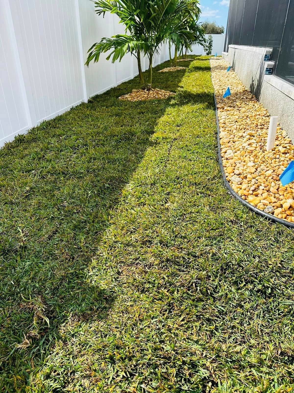 A narrow lawn area between a white fence and a house with trees, rocks, and grass.