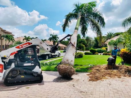 Landscape Services