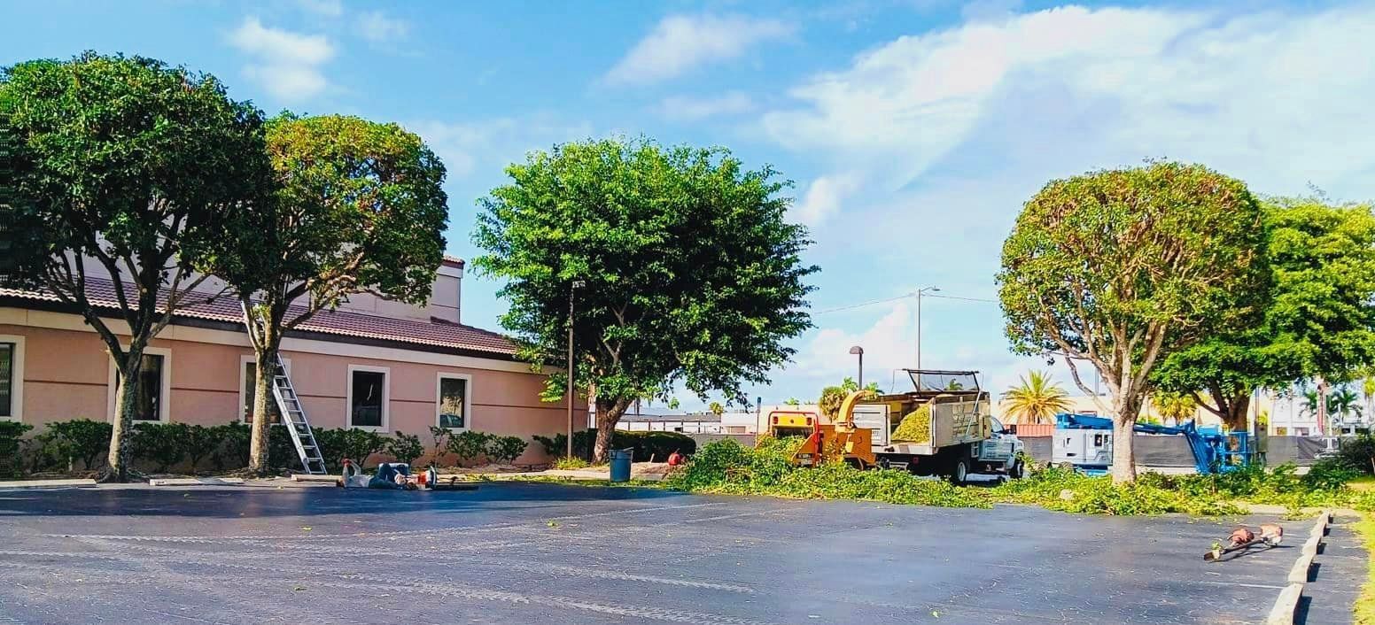 Trees being trimmed by a truck on a parking lot near a building under a blue sky.