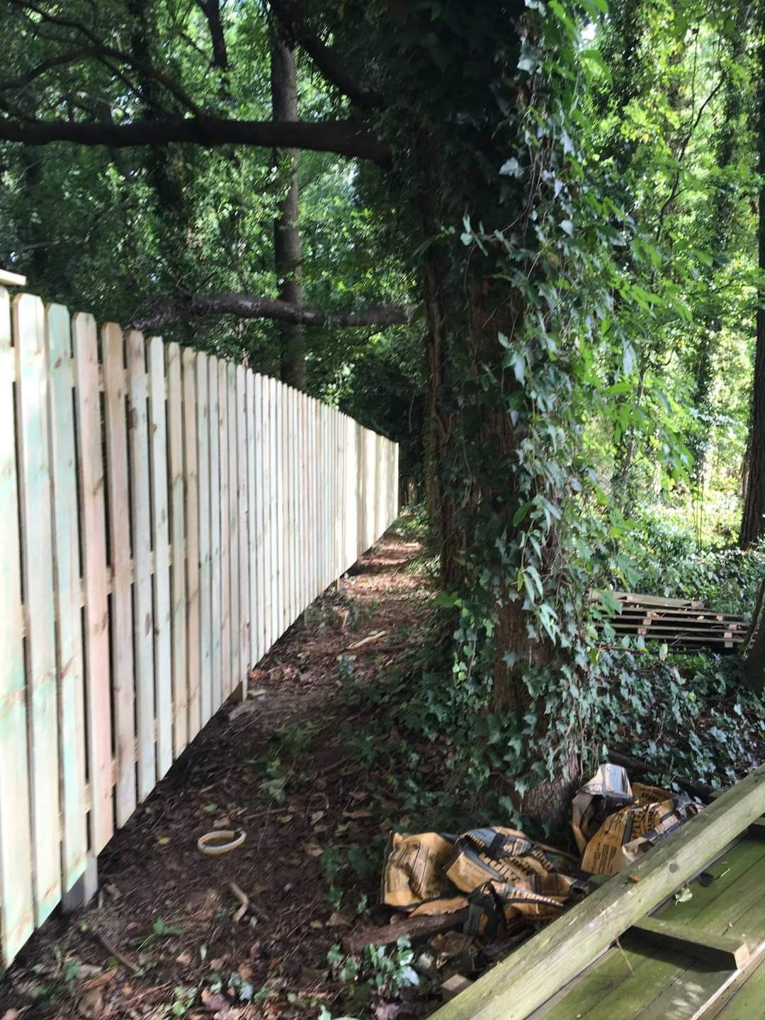 A wooden fence is surrounded by trees in a forest.