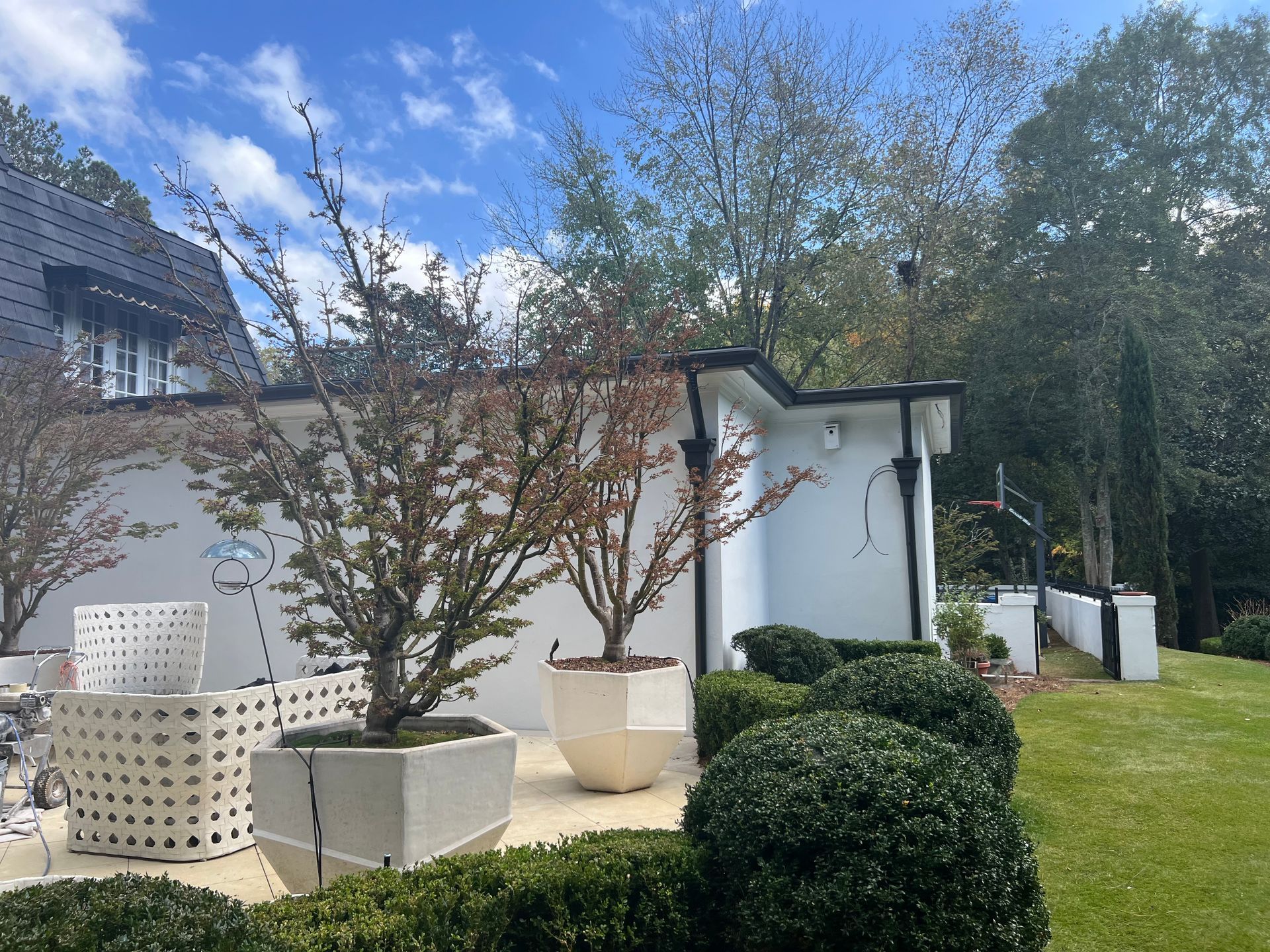 A white house with a lot of plants in front of it