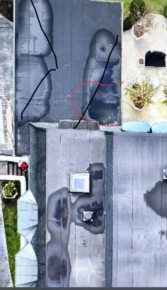 A collage of pictures shows a statue on a wall