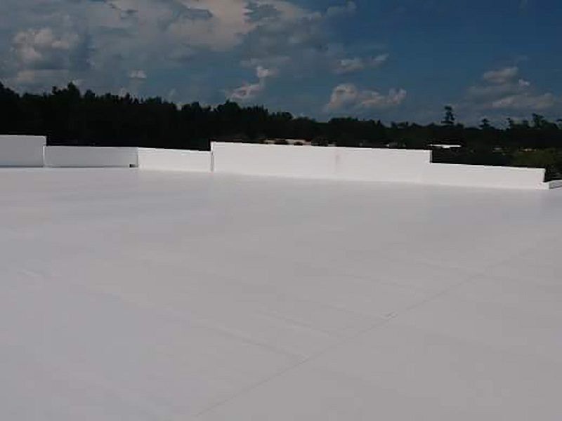 A white roof with trees in the background on a sunny day.