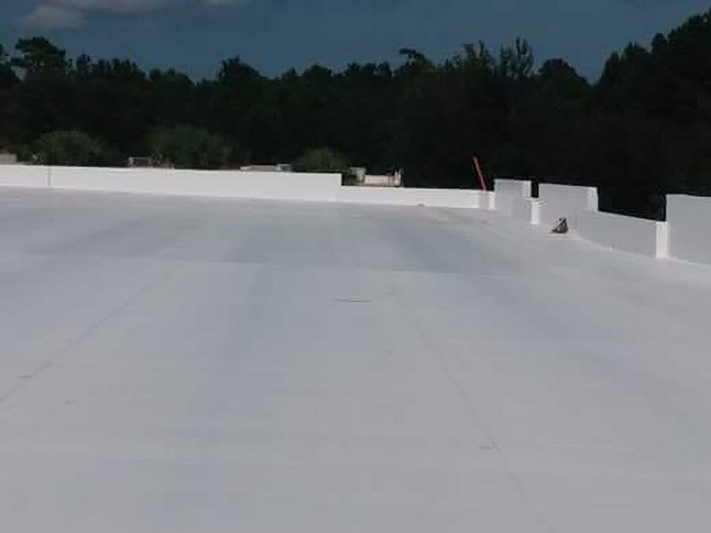 A white roof with trees in the background on a sunny day.