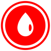 Icona - Olio