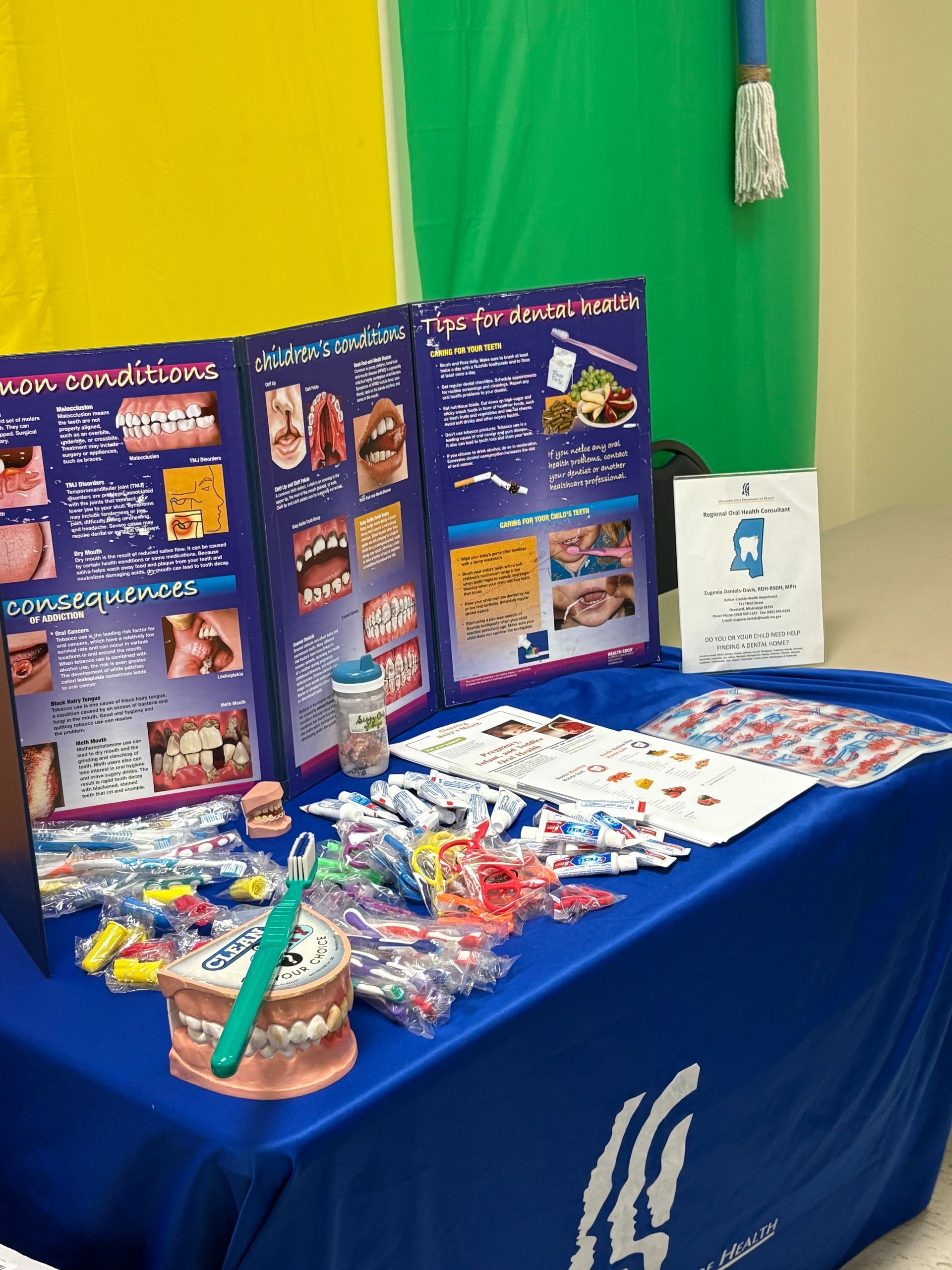Dental health education table with pamphlets, model teeth, and dental hygiene supplies.