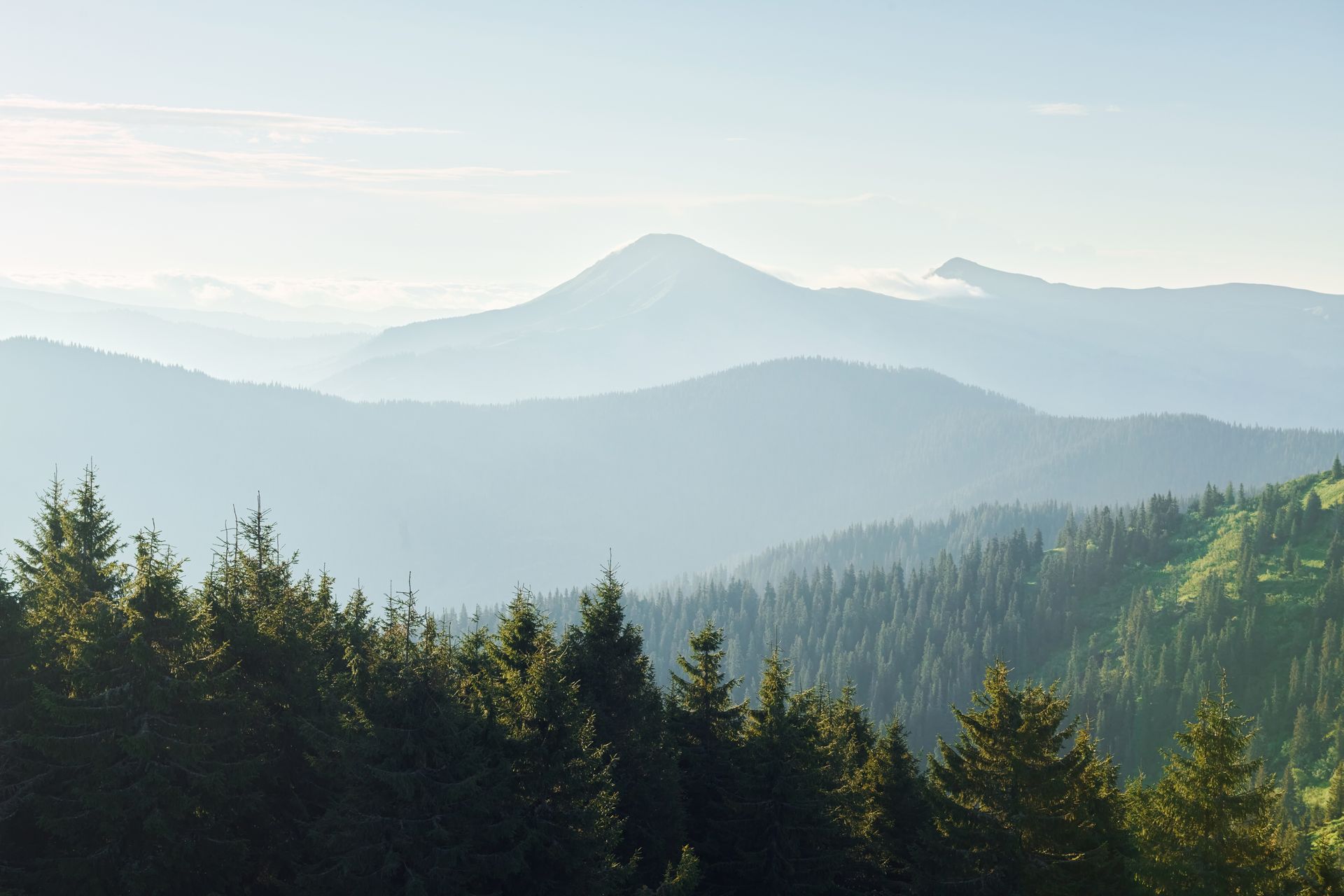 Rolling mountain range under a hazy blue sky, with dark green evergreen trees in the foreground.