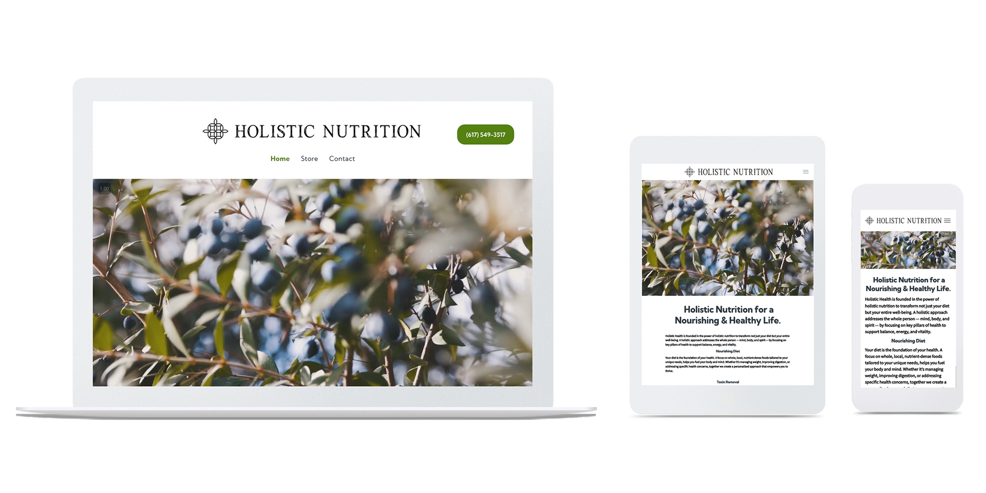 Holistic Nutrition website example