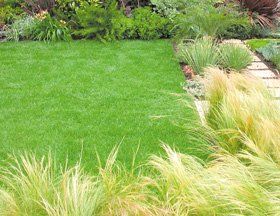 squirrel-traps-bridgnorth-staffordshire-tony-haynes-grass-cutting