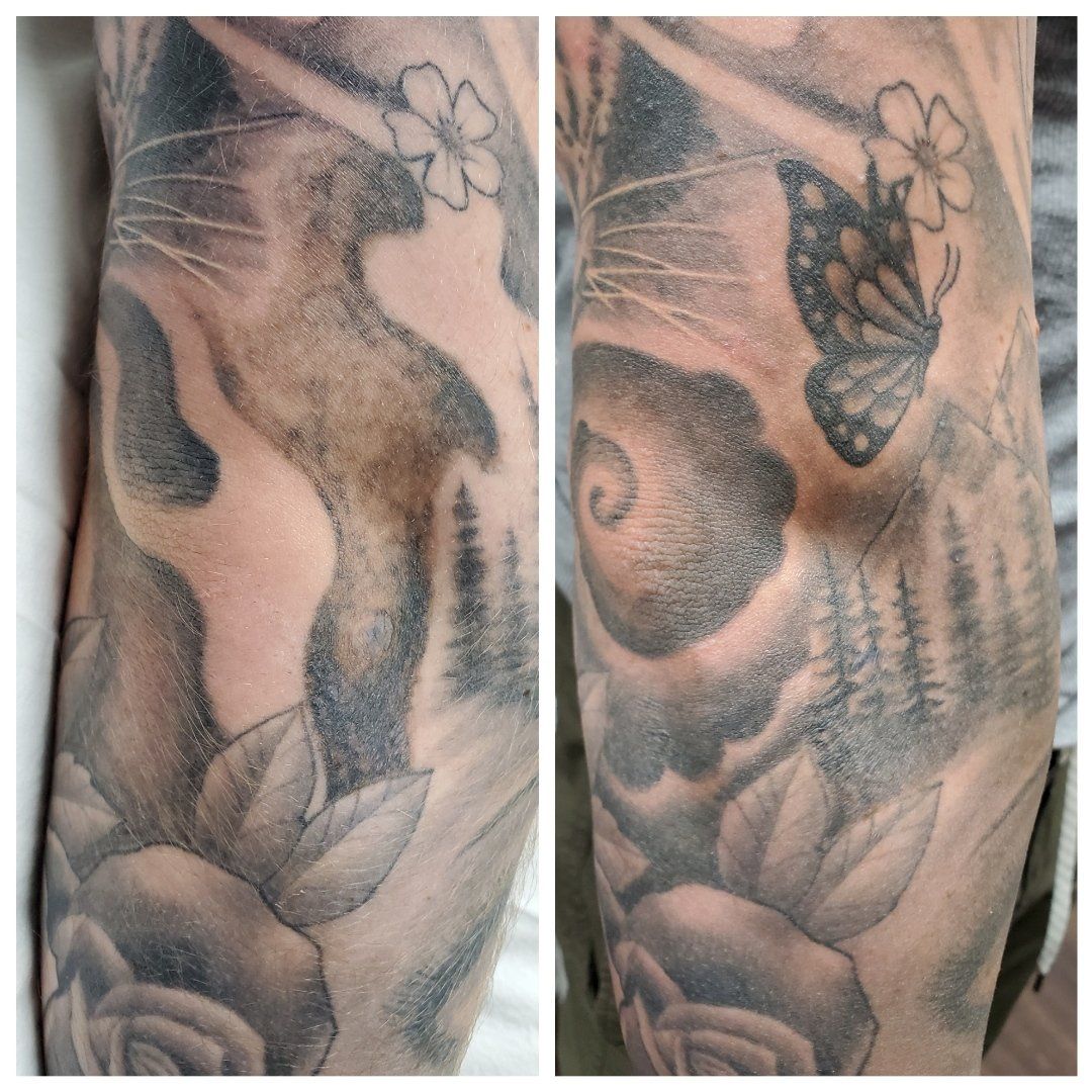 A tattoo of a cat and a butterfly on a person 's arm