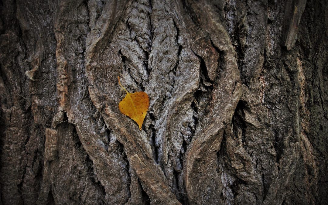 Laser Tattoo Removal and Heavily Wrinkled Skin