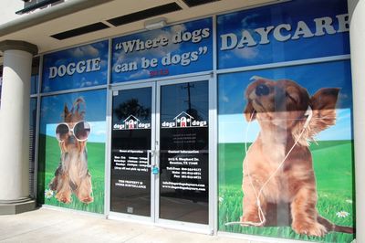 Houston's #1 Dog Daycare and Boarding