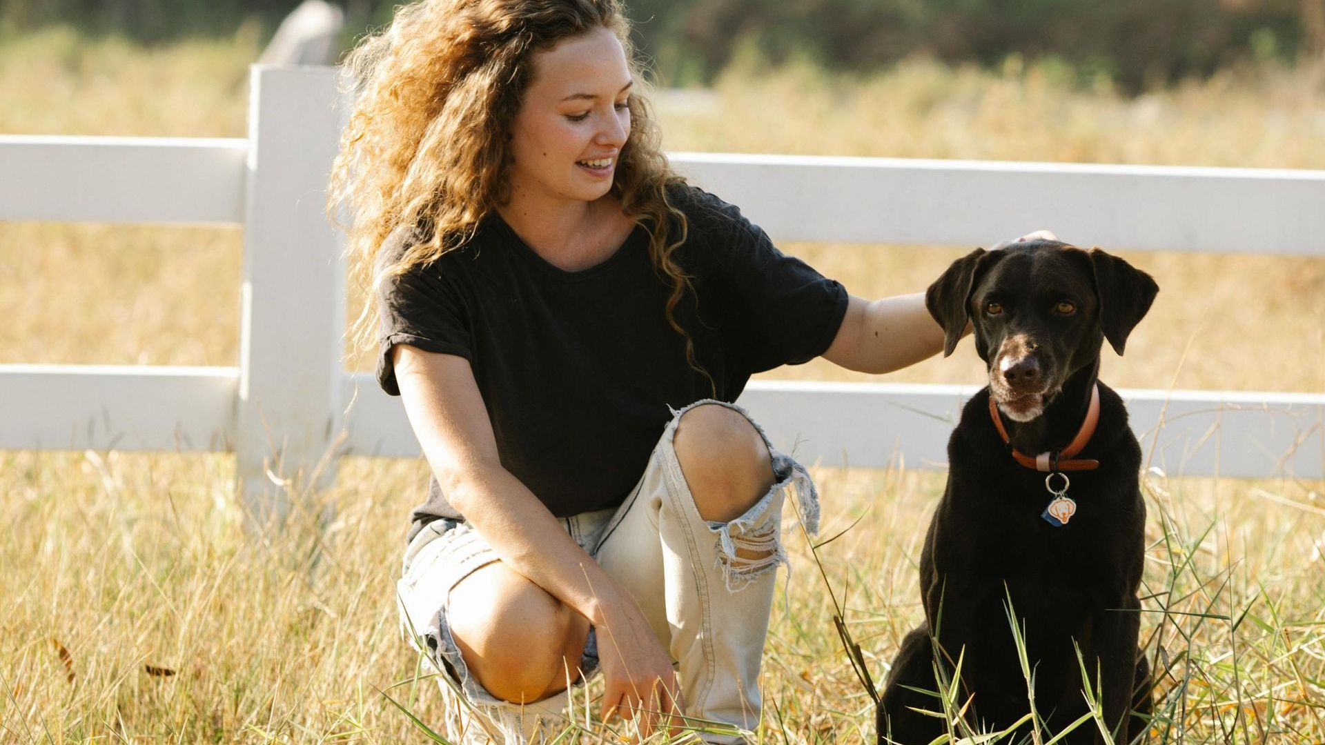 A woman is kneeling down next to a dog in a field.