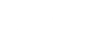 Mostly blank white image with a thin black horizontal line near the lower middle.