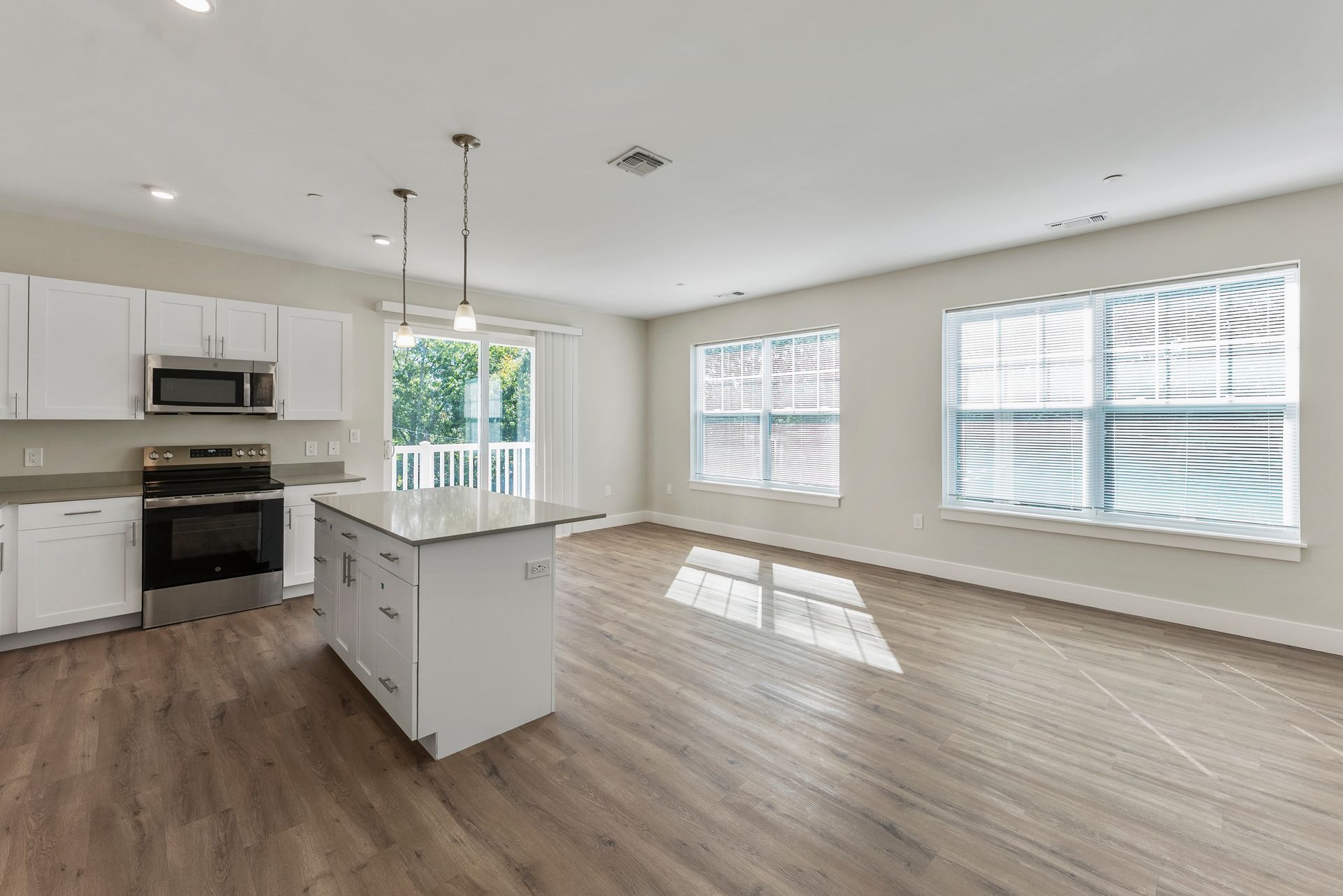 Open kitchen and living room. 