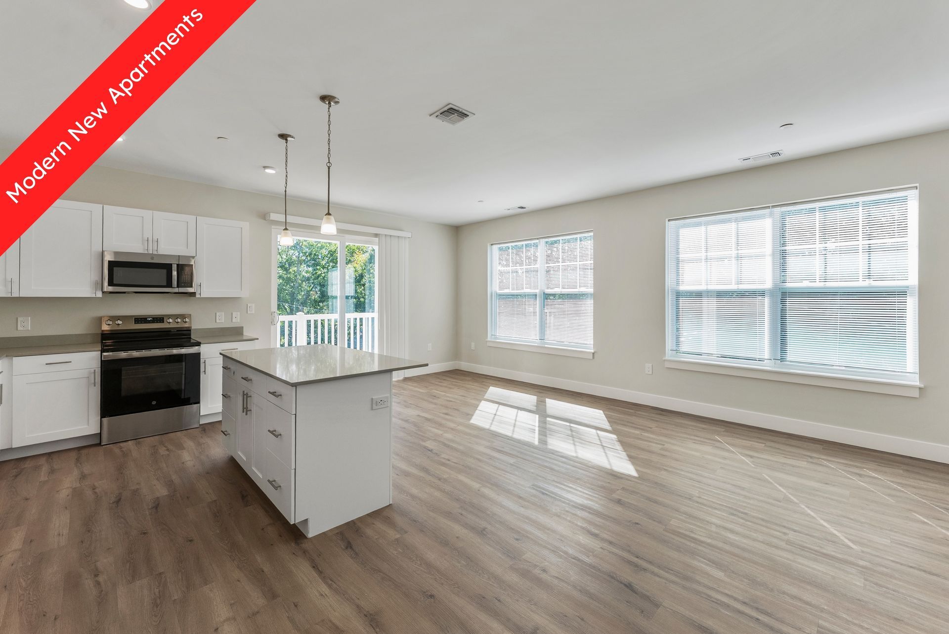 Open kitchen and living room. 