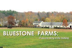 Read the article on Bluestone Farms from the December 2015 issue of TROT.
