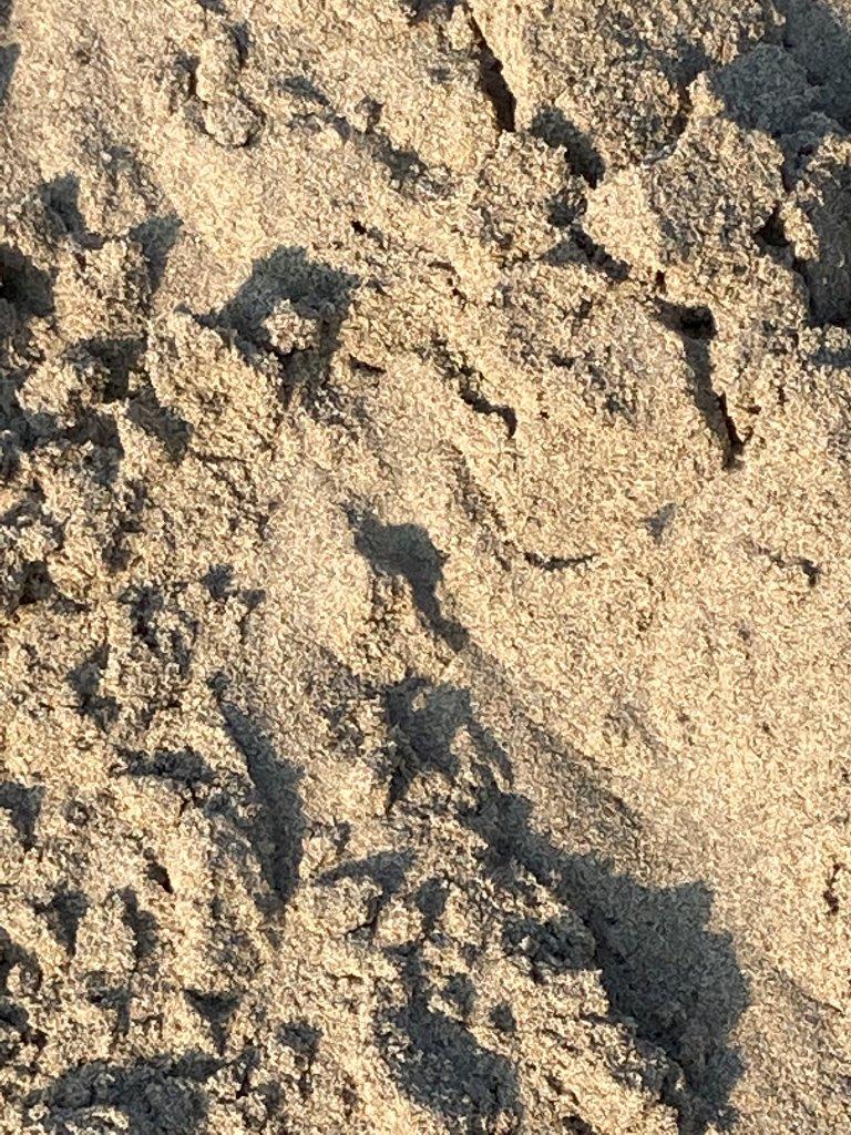 vendita e trasporto STABILIZZATO DI SARONE 0/2 treviso