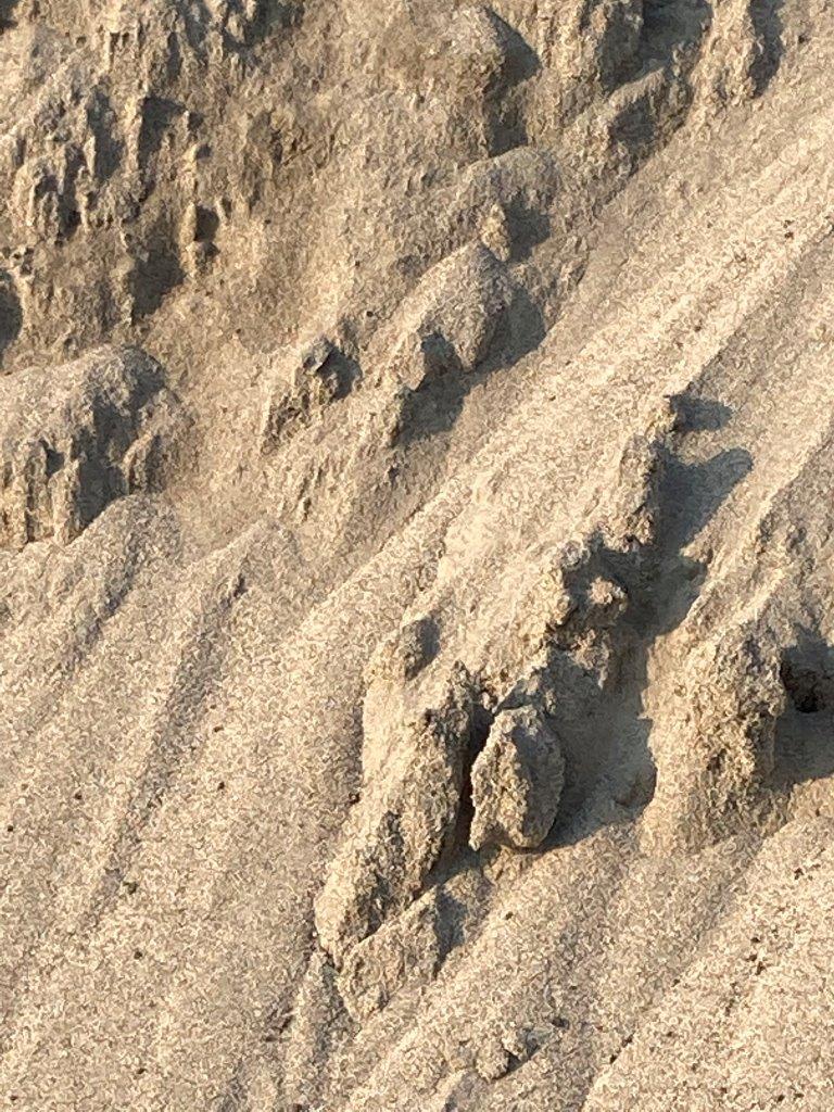 vendita e trasporto SABBIA DA GIARDINO treviso