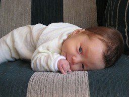 Baby - Torticollis Baby - Torticollis