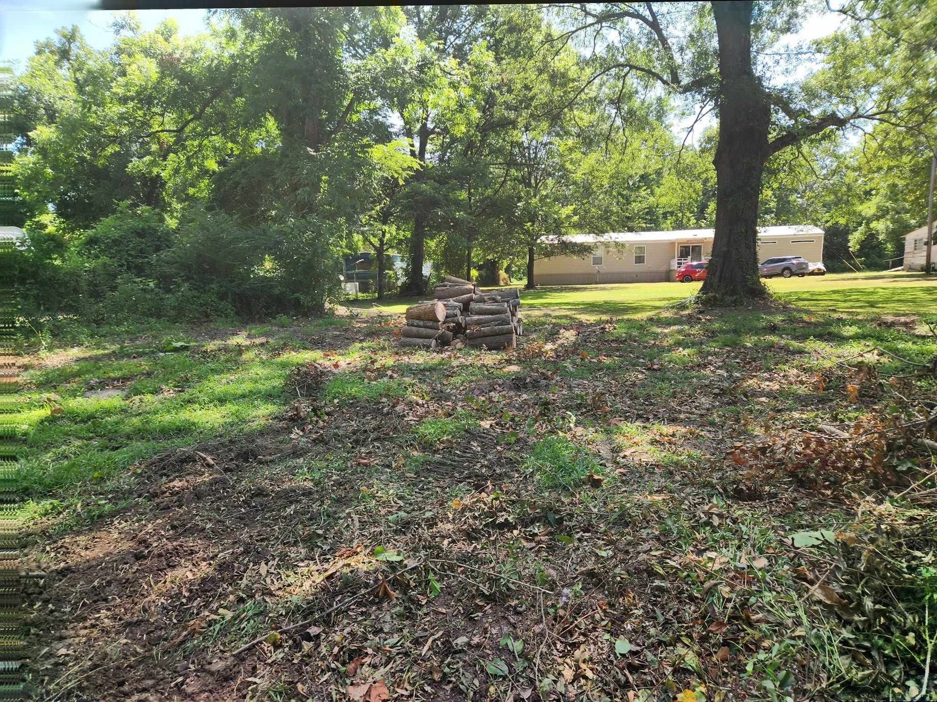 Wooded yard with a small stone fire pit and a house in the background