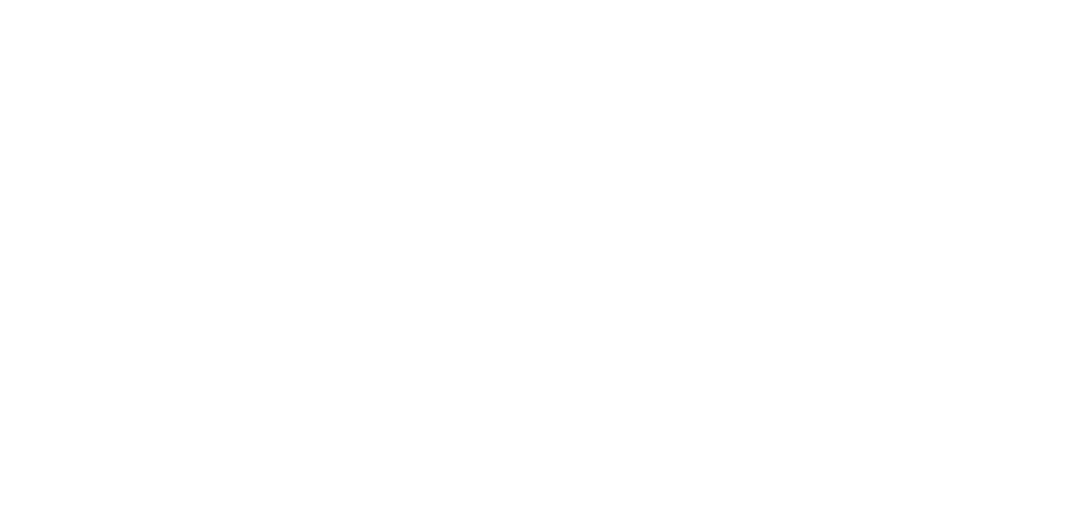 Steel Web Security Solutions - Logo
