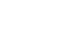 Steel Web Security Solutions - Logo