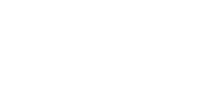 Steel Web Security Solutions - Logo