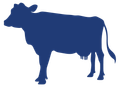 Dairy Depot Inc. Icon