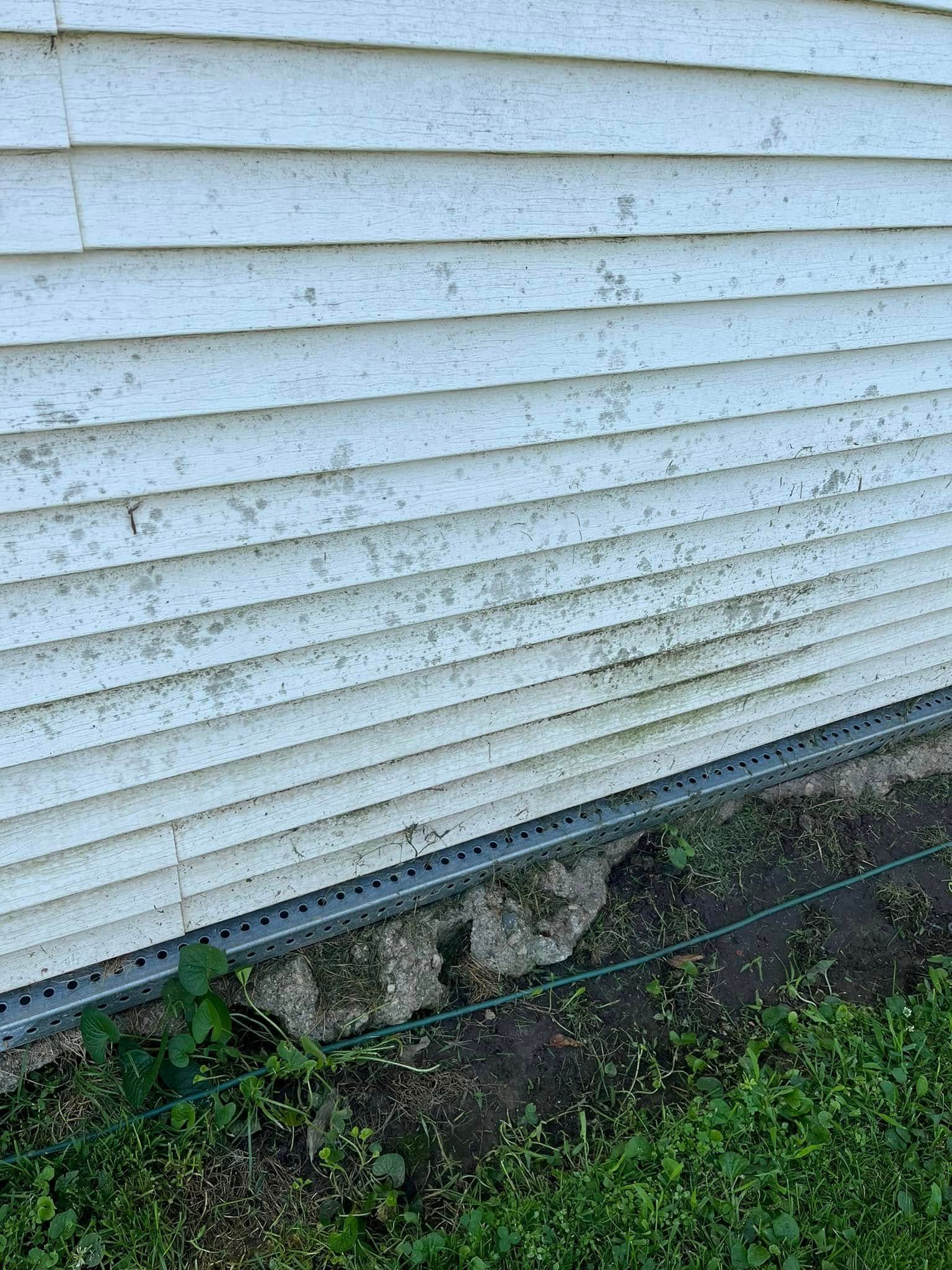 The side of a white house with a lot of moss on it.