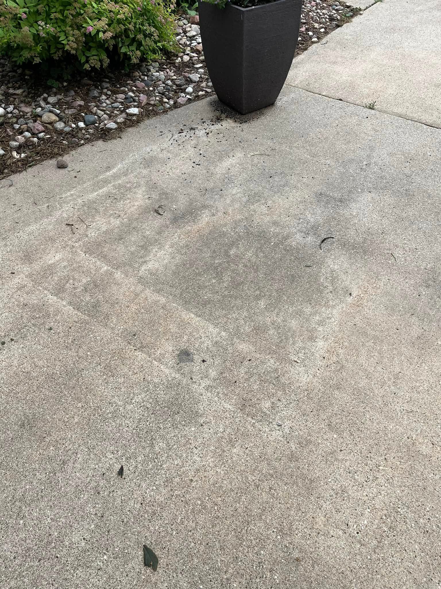 A potted plant is sitting on a sidewalk next to a bush.