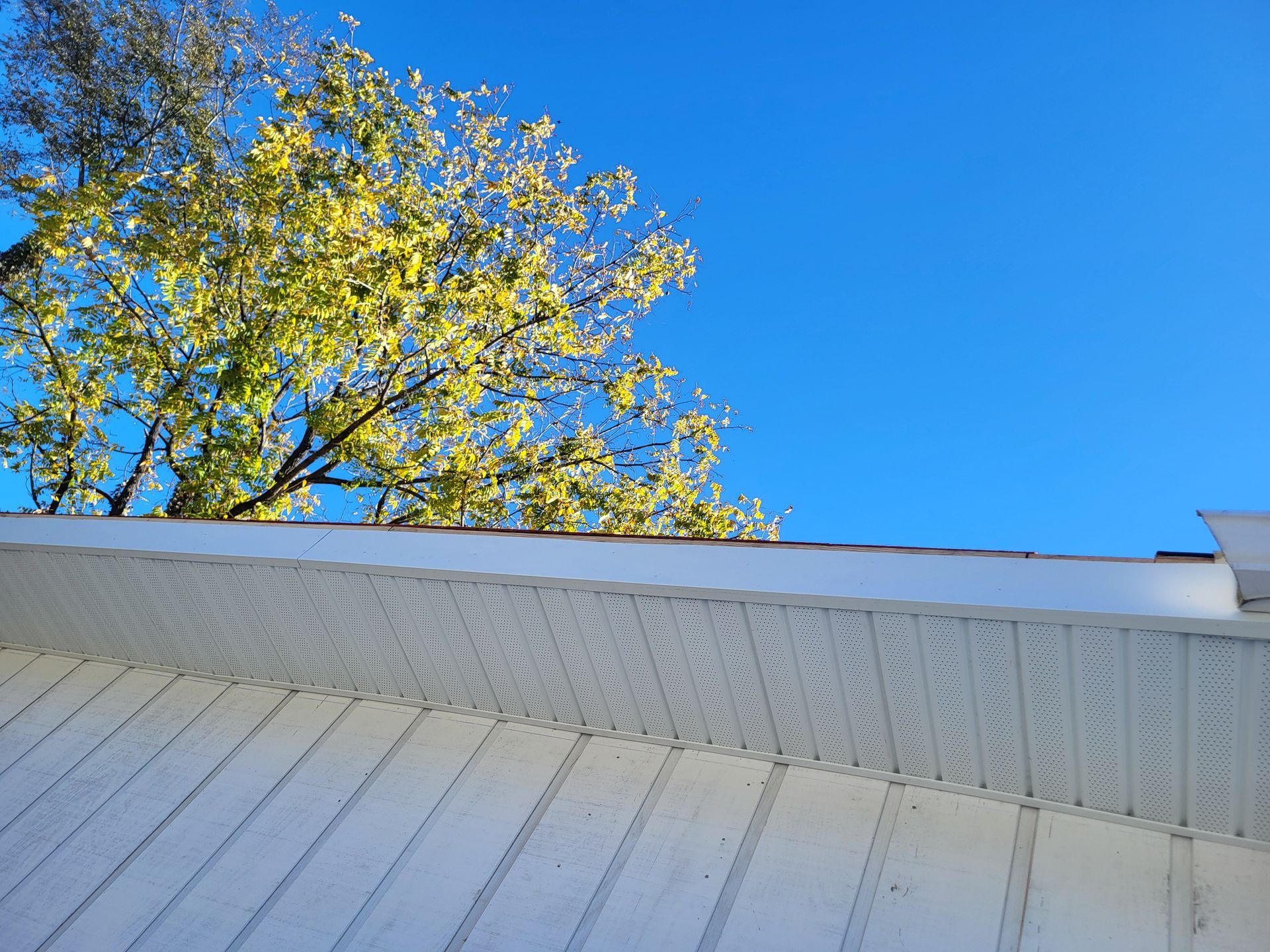 A white roof with a tree in the background and a blue sky