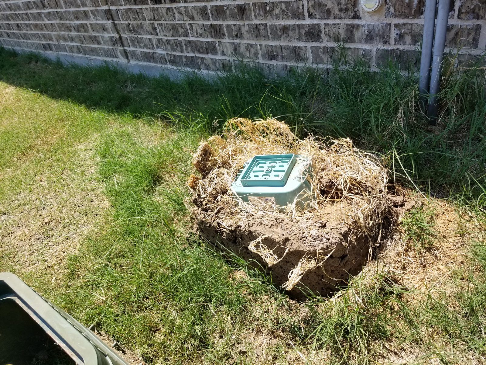 Aerator-covered-in-ants